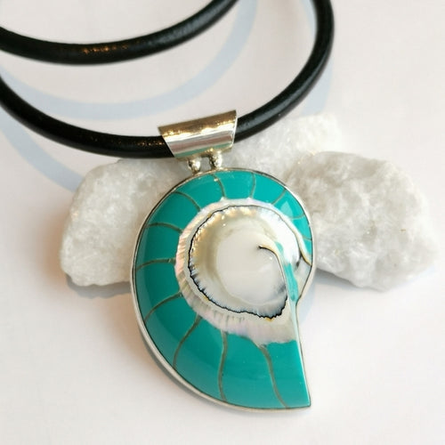 Turquoise Nautilus Shell in Sterling Silver Pendant on Cord Necklace