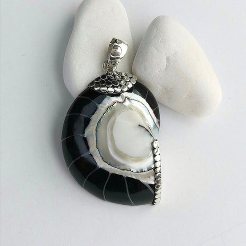 Black Nautilus Shell Pendant in Sterling Silver