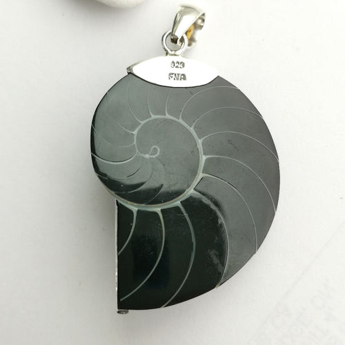 Black Nautilus Shell Pendant in Sterling Silver