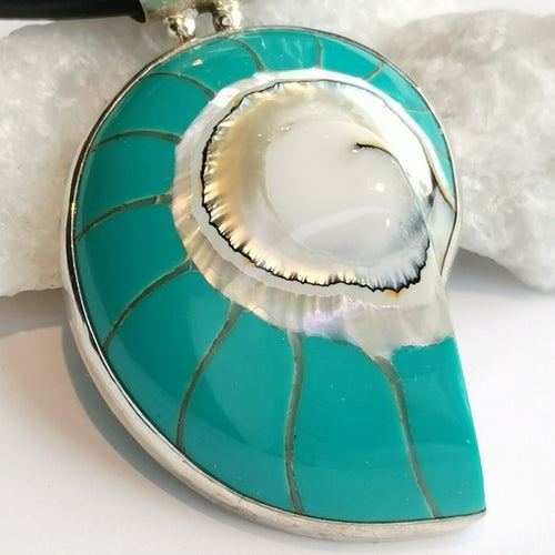 Turquoise Nautilus Shell in Sterling Silver Pendant on Cord Necklace