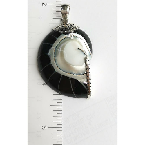 Black Nautilus Shell Pendant in Sterling Silver