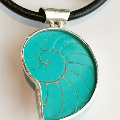 Turquoise Nautilus Shell in Sterling Silver Pendant on Cord Necklace