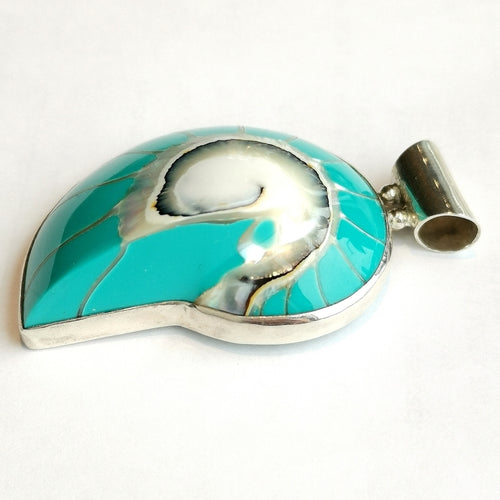 Turquoise Nautilus Shell in Sterling Silver Pendant on Cord Necklace