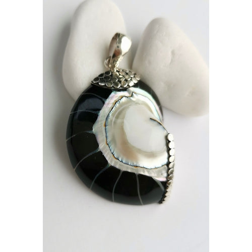 Black Nautilus Shell Pendant in Sterling Silver