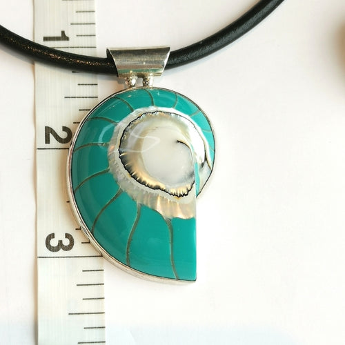 Turquoise Nautilus Shell in Sterling Silver Pendant on Cord Necklace