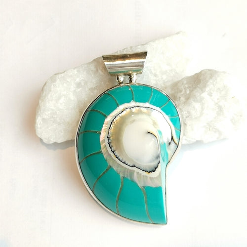 Turquoise Nautilus Shell in Sterling Silver Pendant on Cord Necklace