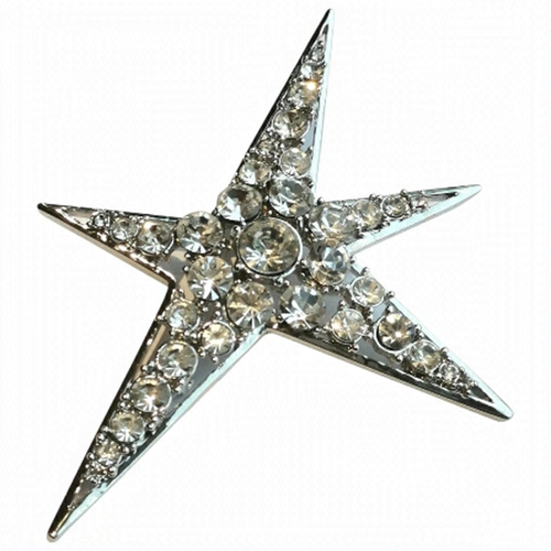 Statement Crystal Star Brooch in Silver Tone